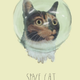 Illustration for article titled My God, Its Full Of Cats! The Very Best Artwork Of Cats In Space